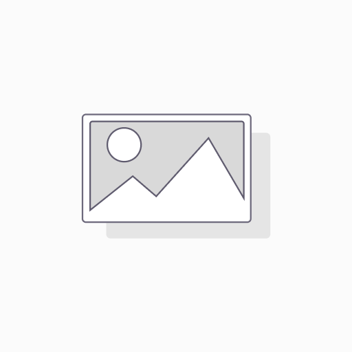 #06 ROSA 6PZ